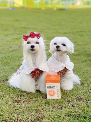모소리네님이 올린 리뷰 사진 2