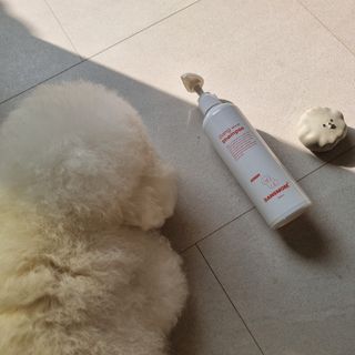 [댕모어 샴푸 2종] 댕샴푸 / 퍼피샴푸  2종 세트 (300ml) — 4점을 준 리뷰어가 2023년 9월 올린 사용 사진