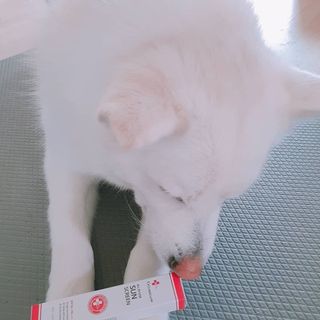 닥터셀멜로 셀멜로 올인원 선스크린 — 5점을 준 리뷰어가 2021년 4월 올린 사용 사진