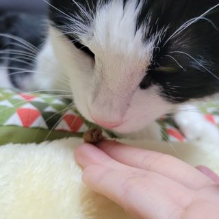 홍시님이 올린 리뷰 사진 4