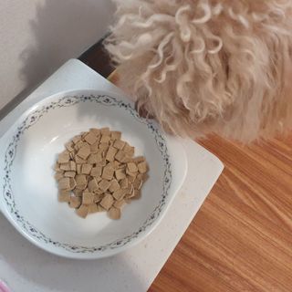 도그퓨어 피부와모질/혼합유산균/글루코사민 유기농 로스팅 사료 — 4.5점을 준 리뷰어가 2021년 9월 올린 사용 사진