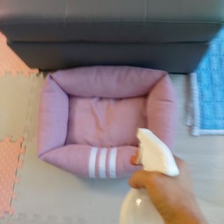 편백의정석 편백의 정석, 피톤치드스프레이 살균 천연 탈취제 집먼지 진드기 이불 침대 매트리스 새집중후군 천연 살균제 — 4점을 준 리뷰어가 2021년 4월 올린 사용 사진