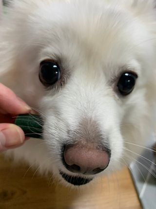 구름님이 올린 리뷰 사진 1