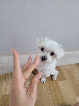 pussyess님이 올린 리뷰 사진 4