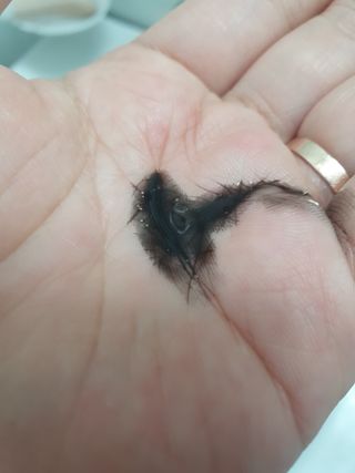 해피해피님이 올린 리뷰 사진 4