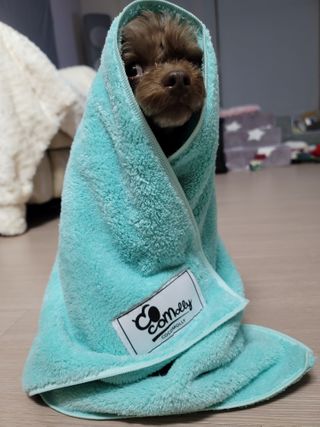 나초단맘님이 올린 리뷰 사진 3
