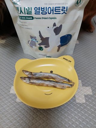 노루다래꼬봉님이 올린 리뷰 사진 2