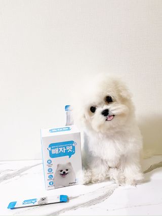 림이님이 올린 리뷰 사진 4