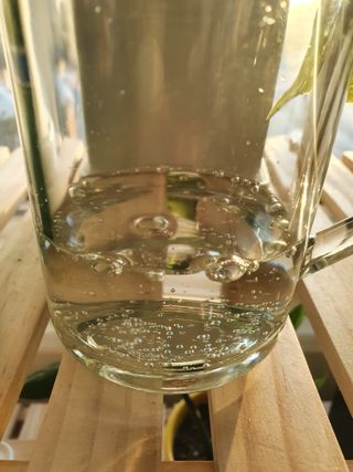 몽베스트 Montbest with Sparkling water Plain 20병 — 5점을 준 리뷰어가 2021년 10월 올린 사용 사진