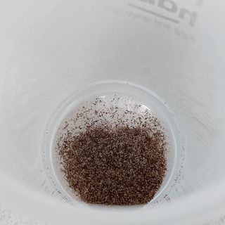 몽베스트 위드더 블랜딩 하우스 _레몬 블랙티 — 5점을 준 리뷰어가 2022년 12월 올린 사용 사진