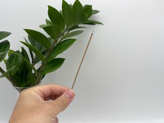 소담스퀘어 상암 인센스월드 트리아비 인센스스틱 — 5점을 준 리뷰어가 2022년 12월 올린 사용 사진