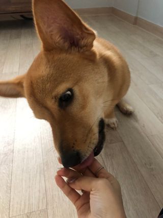 JkLee님이 올린 리뷰 사진 4