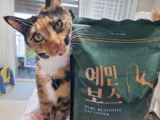오나오나님이 올린 리뷰 사진 2