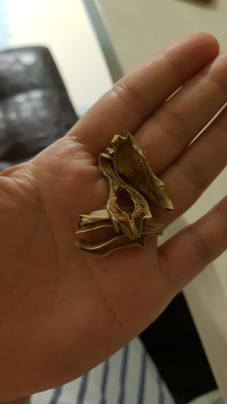 쑥님이 올린 리뷰 사진 4