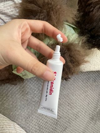 [자유펫] 시코니딘 고양이 강아지 피부 보습 연고 20g — 5점을 준 리뷰어가 2021년 11월 올린 사용 사진