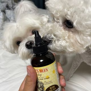 bongdam님이 올린 리뷰 사진 1