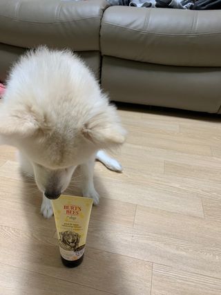코린이님이 올린 리뷰 사진 3