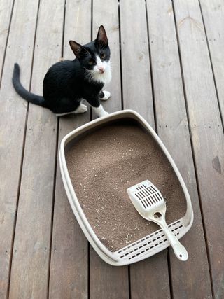 🫡열하남님이 올린 리뷰 사진 1