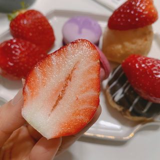 옳음 딸기 논산 설향 딸기 900g 산지직송 — 5점을 준 리뷰어가 2021년 2월 올린 사용 사진