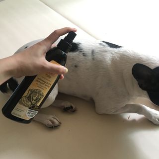 옴뇸뇸님이 올린 리뷰 사진 2