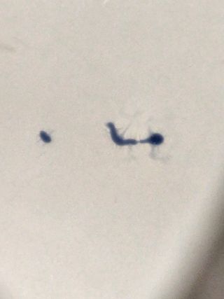 아자아자화이팅님이 올린 리뷰 사진 4