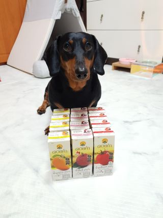 도이캄 착즙 완숙 토마토 200ml 12팩 무설탕 태국왕실 기내식주스 — 5점을 준 리뷰어가 2021년 2월 올린 사용 사진