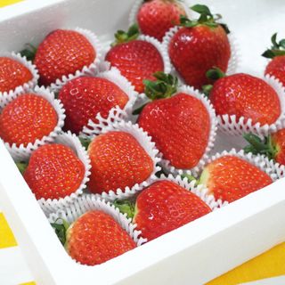 옳음 딸기 논산 설향 딸기 900g 산지직송 — 5점을 준 리뷰어가 2021년 2월 올린 사용 사진