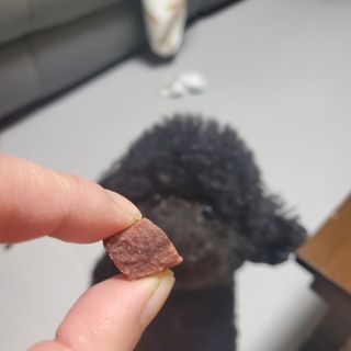 My Pet Care 천연단백질 눈건강에 개좋아 — 5점을 준 리뷰어가 2021년 4월 올린 사용 사진