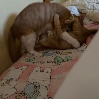 보니보니님이 올린 리뷰 사진 3