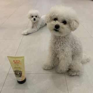 chaeny님이 올린 리뷰 사진 1