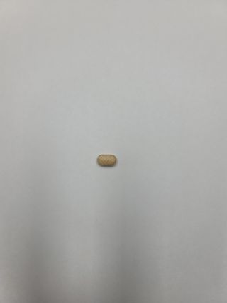 코기코기님이 올린 리뷰 사진 3