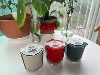 박다예님이 올린 리뷰 사진 1