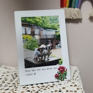 꽃단이님이 올린 리뷰 사진 2