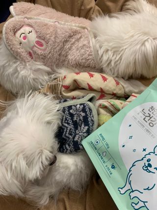 My Pet Care 천연단백질 눈건강에 개좋아 — 5점을 준 리뷰어가 2021년 1월 올린 사용 사진