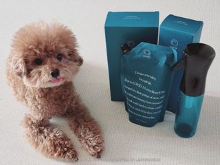 코박 스프레이 살균수  500ml 세트 — 5점을 준 리뷰어가 2022년 6월 올린 사용 사진