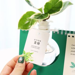 엄지콩님이 올린 리뷰 사진 1