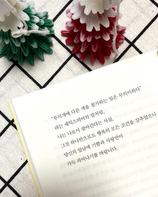 nadia230님이 올린 리뷰 사진 4