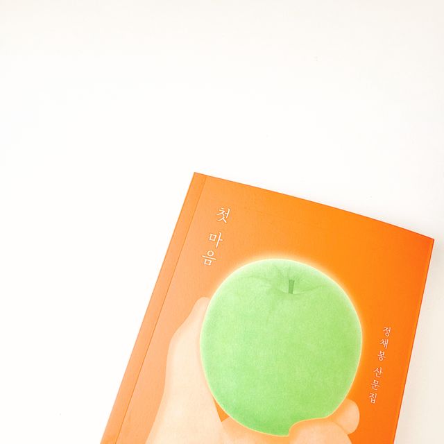 첫 마음 리뷰 사진