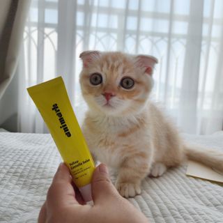 쭌뭉님이 올린 리뷰 사진 1