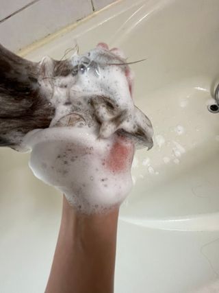 모모마망님이 올린 리뷰 사진 3