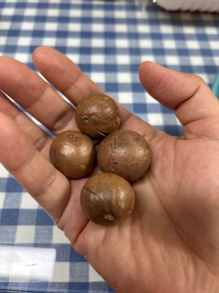 바노피파이님이 올린 리뷰 사진 3