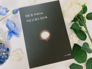 가을봉숙 정말잘지내나요사실난울고있는데 — 5점을 준 리뷰어가 2022년 6월 올린 사용 사진