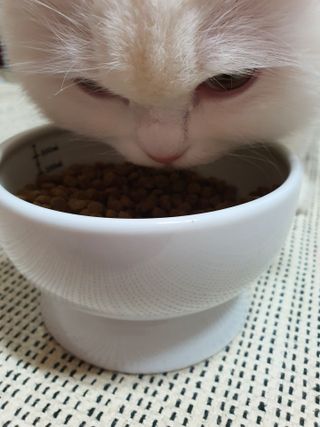 Woo7C님이 올린 리뷰 사진 1