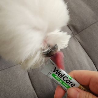 lala님이 올린 리뷰 사진 1