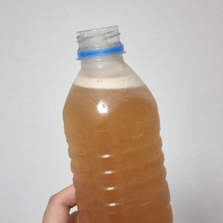 송린깡님이 올린 리뷰 사진 4