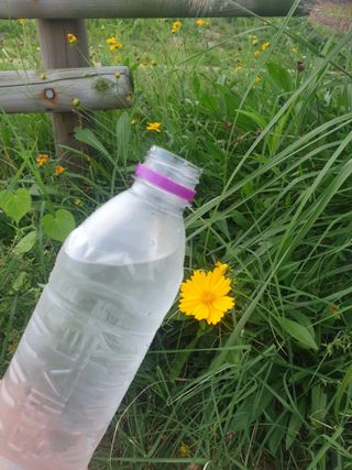 몽베스트 [MONTBEST]위드어스 500mL 20병 — 5점을 준 리뷰어가 2022년 8월 올린 사용 사진