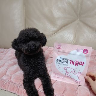 My Pet Care 천연단백질 관절건강에 개좋아 — 5점을 준 리뷰어가 2021년 1월 올린 사용 사진