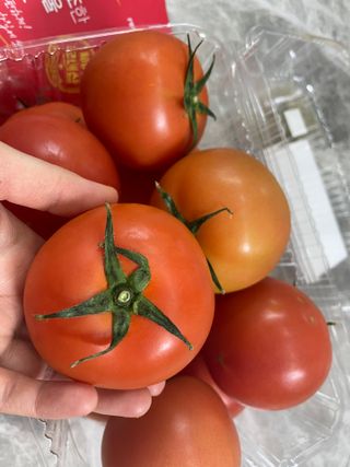 레드닥터 완숙토마토 + 통째로 동결건조한 대추방울토마토 — 5점을 준 리뷰어가 2022년 12월 올린 사용 사진