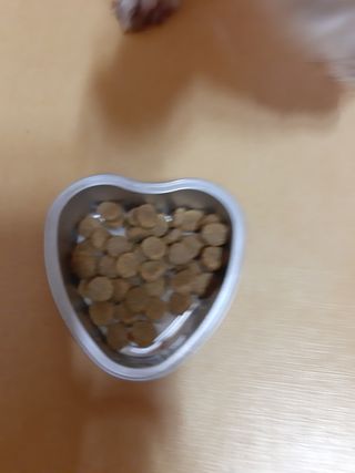 moomoon님이 올린 리뷰 사진 2