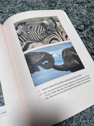 라기라기님이 올린 리뷰 사진 1